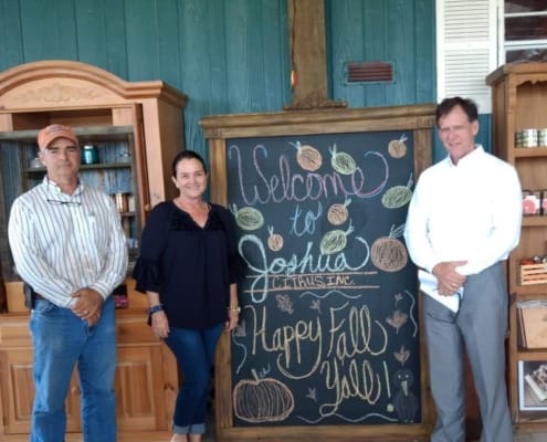 Bridge Loan Helps Arcadia-based Citrus Grower Through the Squeeze