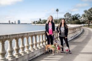 SoHo Hound of Hillsborough County