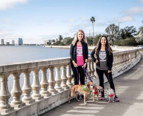 SoHo Hound of Hillsborough County