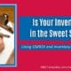 Is Your Inventory in the Sweet Spot